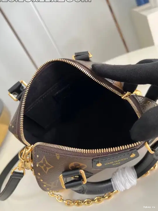 Trunk Speedy Vuitton Louis 20 0404